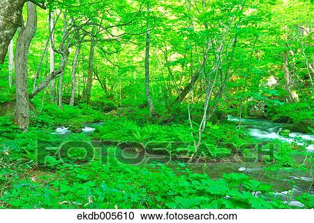 Water Stream View Large Photo Image Stock Image - Water Stream. Fotosearch