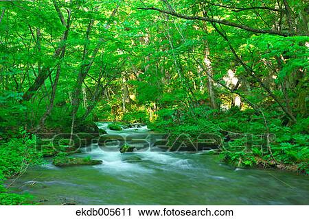 Water Stream View Large Photo Image Stock Image - Water Stream. Fotosearch