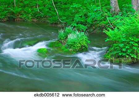 Stock Image - Water Stream. Fotosearch