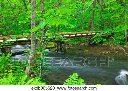 Stock Image - Water Stream. Fotosearch