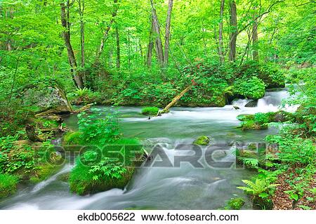 Water Stream View Large Photo Image Stock Image - Water Stream. Fotosearch