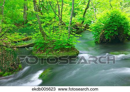 Stock Image - Water Stream. Fotosearch