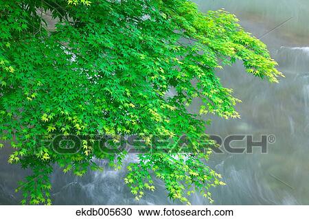 Water Stream View Large Photo Image Stock Image - Water Stream. Fotosearch