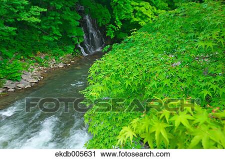 Water Stream View Large Photo Image Stock Image - Water Stream. Fotosearch