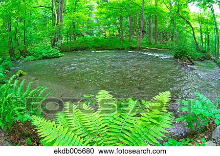 Water Stream View Large Photo Image Stock Image - Water Stream. Fotosearch