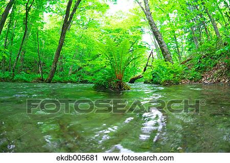 Water Stream View Large Photo Image Stock Image - Water Stream. Fotosearch