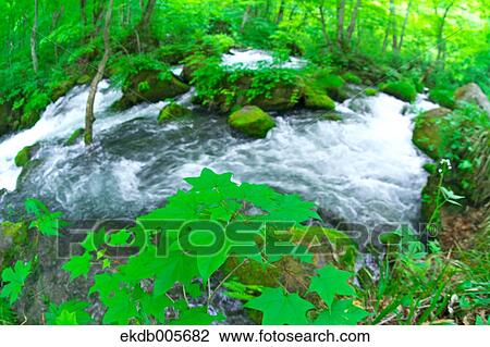 Stock Image - Water Stream. Fotosearch