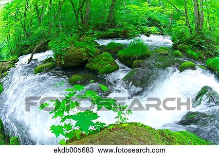 Water Stream View Large Photo Image Stock Image - Water Stream. Fotosearch