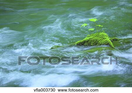 Stock Image - Water Stream. Fotosearch