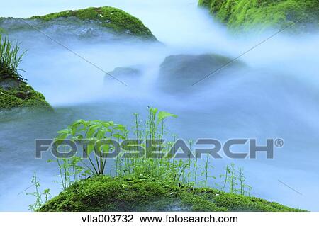 Stock Image - Water Stream. Fotosearch