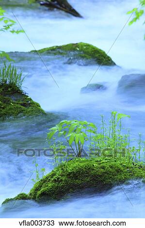 Stock Image - Water Stream. Fotosearch
