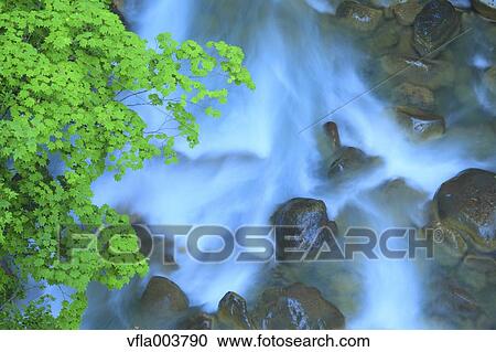 Stock Image - Water Stream. Fotosearch