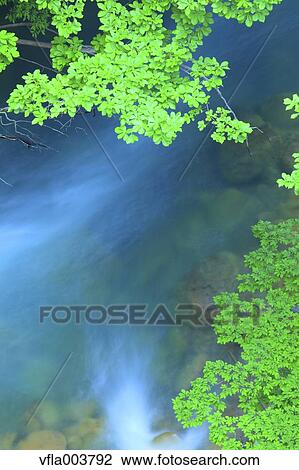 Water Stream View Large Photo Image Stock Image - Water Stream. Fotosearch