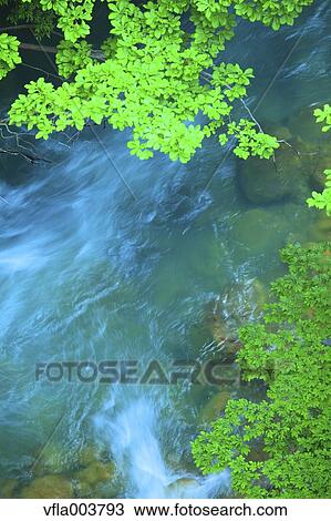 Stock Image - Water Stream. Fotosearch
