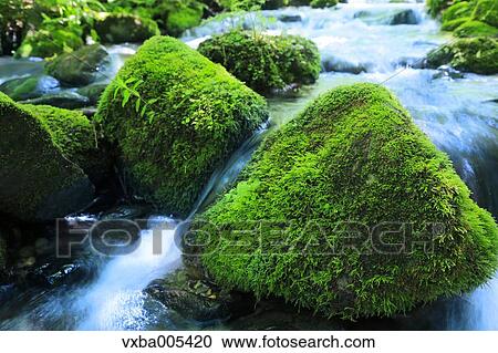 Water Stream View Large Photo Image Stock Image - Water Stream. Fotosearch