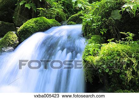 Water Stream View Large Photo Image Stock Image - Water Stream. Fotosearch