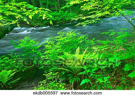 Water Stream View Large Photo Image Stock Photo - Water Stream. Fotosearch
