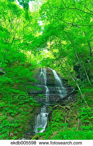 Stock Photo - Water Stream. Fotosearch