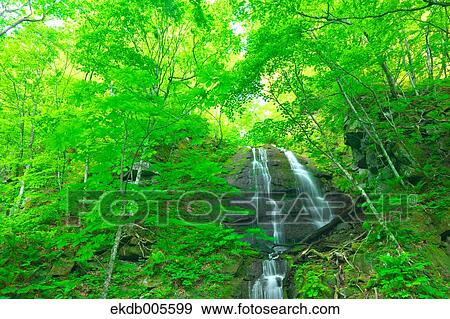 Water Stream View Large Photo Image Stock Photo - Water Stream. Fotosearch