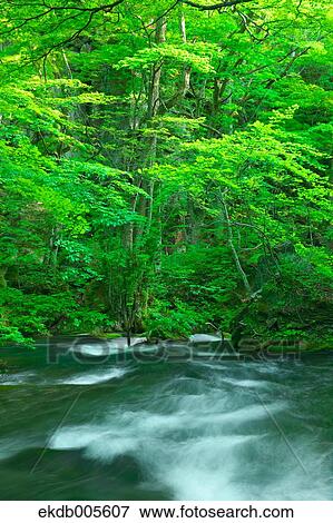 Stock Photo - Water Stream. Fotosearch