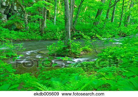 Stock Photo - Water Stream. Fotosearch