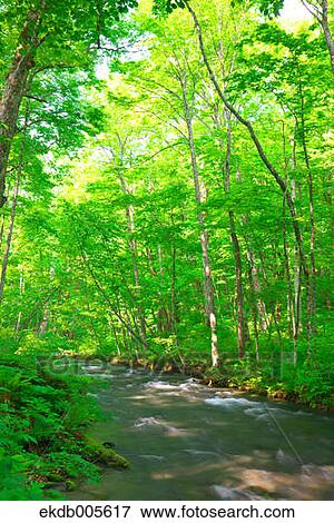 Stock Photo - Water Stream. Fotosearch