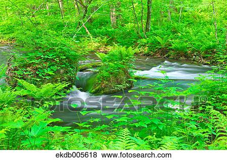 Stock Photo - Water Stream. Fotosearch
