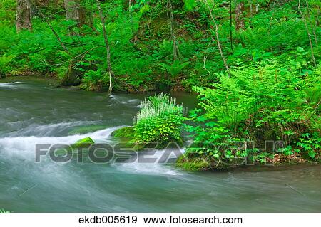 Water Stream View Large Photo Image Stock Photo - Water Stream. Fotosearch