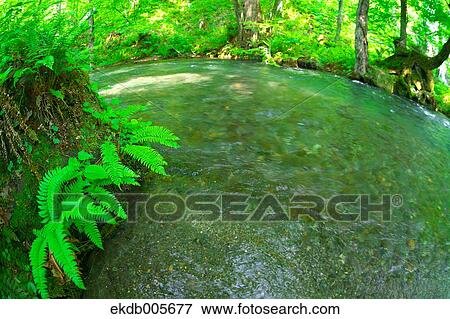 Water Stream View Large Photo Image Stock Photo - Water Stream. Fotosearch