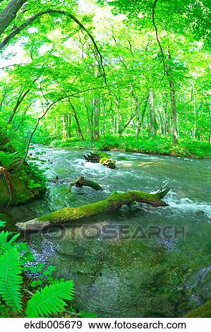 Water Stream View Large Photo Image Stock Photo - Water Stream. Fotosearch