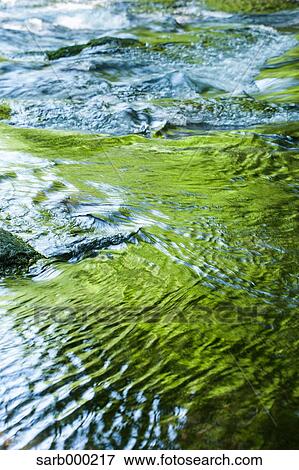 Water stream View Large Photo Image Stock Photo - Water stream. Fotosearch