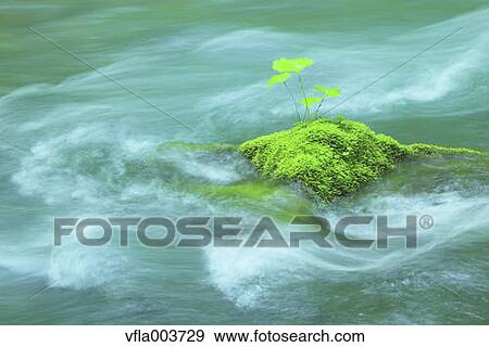 Stock Photo - Water Stream. Fotosearch