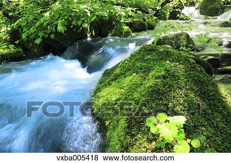 Stock Photo - Water Stream. Fotosearch