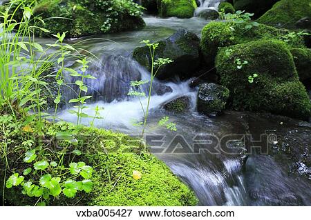 Stock Photo - Water Stream. Fotosearch