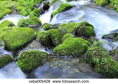 Stock Photo - Water Stream. Fotosearch