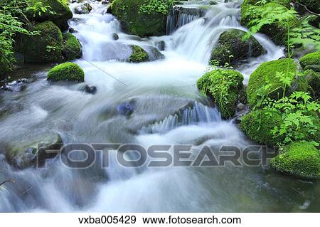 Water Stream View Large Photo Image Stock Photo - Water Stream. Fotosearch