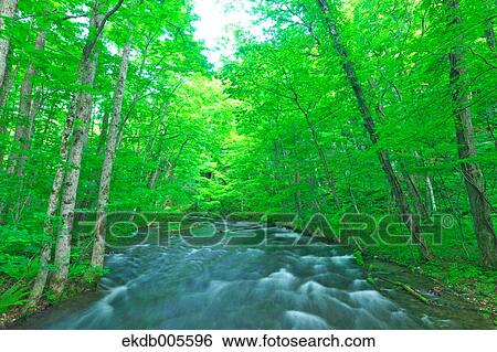 Water Stream View Large Photo Image Stock Photograph - Water Stream. Fotosearch
