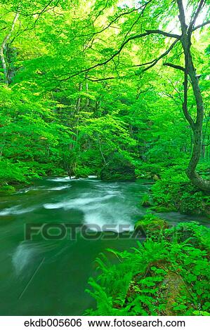 Stock Photograph - Water Stream. Fotosearch