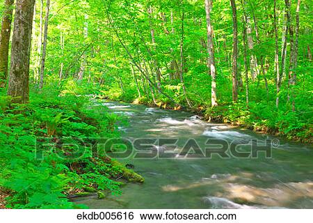 Water Stream View Large Photo Image Stock Photograph - Water Stream. Fotosearch
