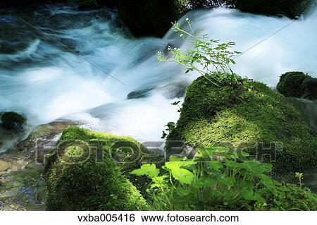 Stock Photograph - Water Stream. Fotosearch
