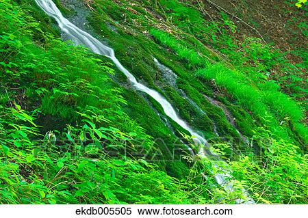 Water Stream View Large Photo Image Stock Photography - Water Stream. Fotosearch