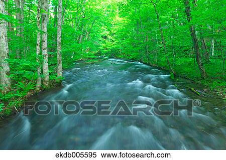 Water Stream View Large Photo Image Stock Photography - Water Stream. Fotosearch