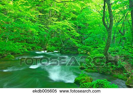 Water Stream View Large Photo Image Stock Photography - Water Stream. Fotosearch