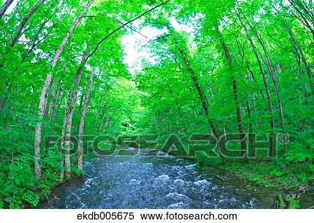 Water Stream View Large Photo Image Stock Photography - Water Stream. Fotosearch