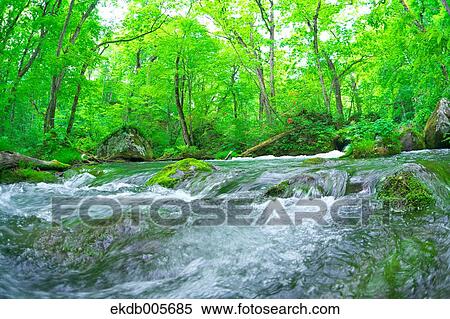 Water Stream View Large Photo Image Stock Photography - Water Stream. Fotosearch
