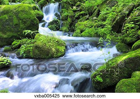 Water Stream View Large Photo Image Stock Photography - Water Stream. Fotosearch