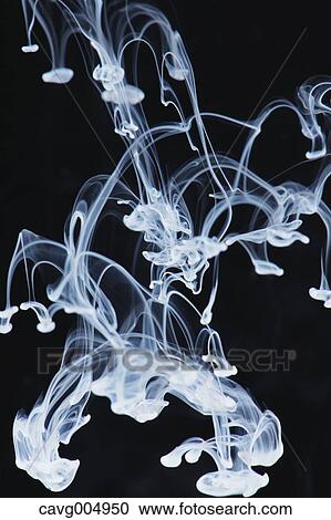 White Liquid Underwater View Large Photo Image Stock Image - White Liquid Underwater. Fotosearch