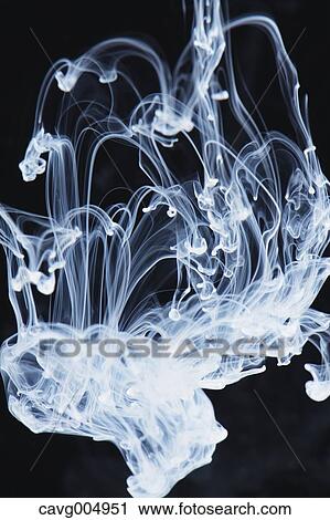 Stock Image - White Liquid Underwater. Fotosearch