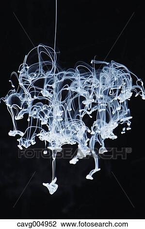 Stock Image - White Liquid Underwater. Fotosearch