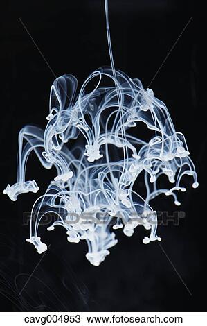 White Liquid Underwater View Large Photo Image Stock Image - White Liquid Underwater. Fotosearch